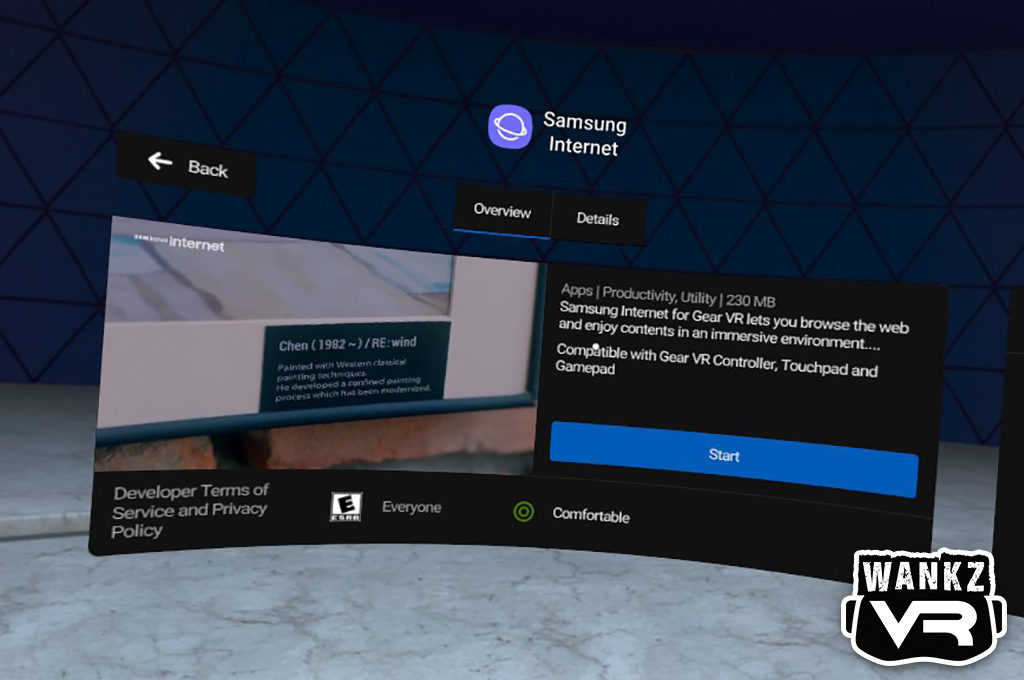 Samsung Internet in VR