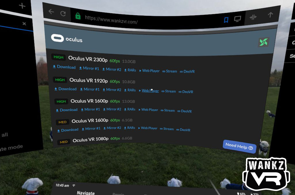 Oculus Video Options - WankzVR